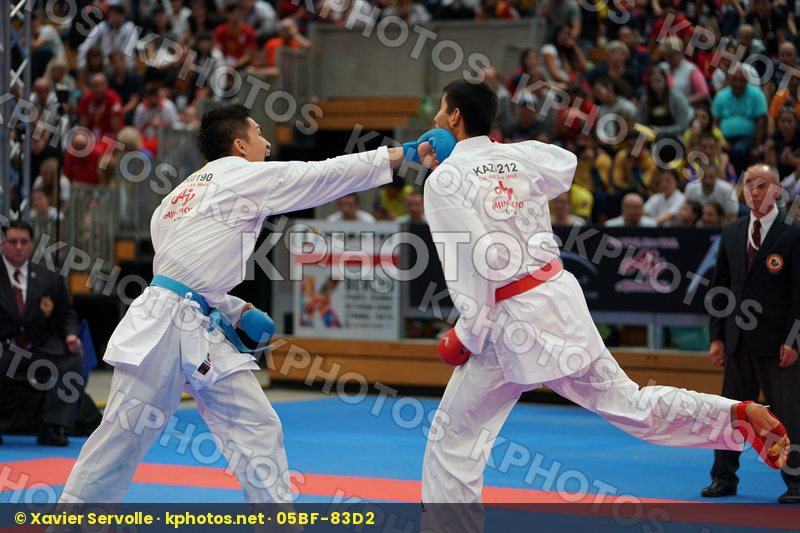 Karate 1 Premier League Berlin 2018