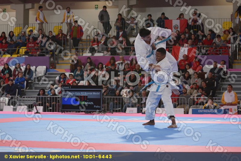 Pan American Games Lima 2019