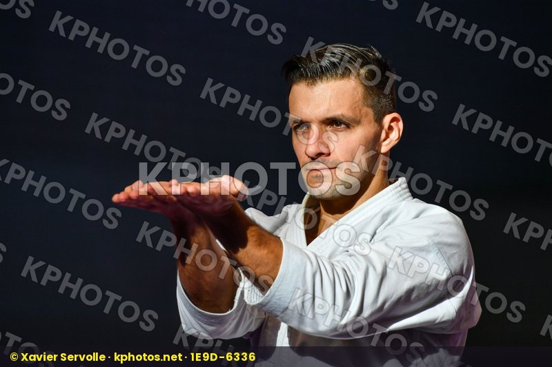 Karate 1 Premier League Hamburg 2016