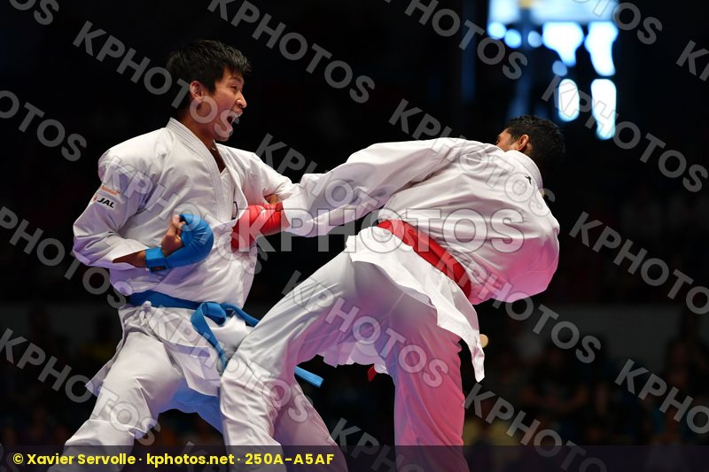 Karate 1 Premier League Hamburg 2016