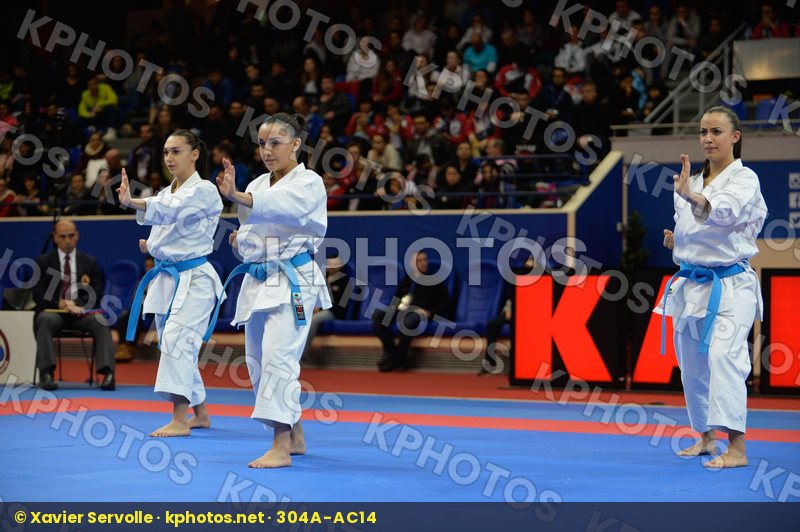 Karate 1 Premier League Paris 2017