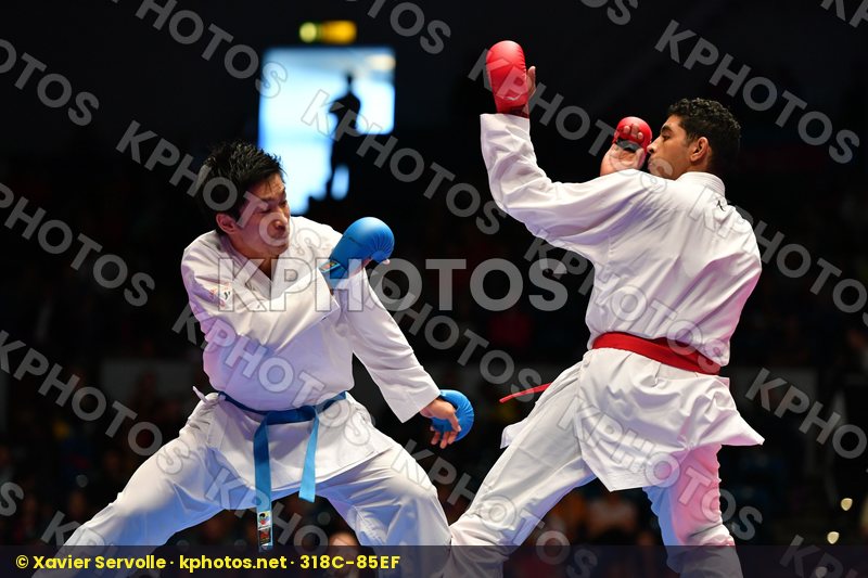 Karate 1 Premier League Hamburg 2016