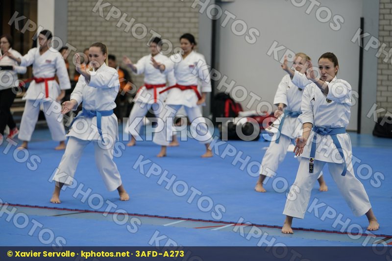 Karate 1 Premier League Rotterdam 2018