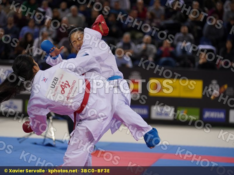 Karate 1 Premier League Madrid 2019