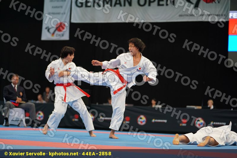 Karate 1 Premier League Halle 2017