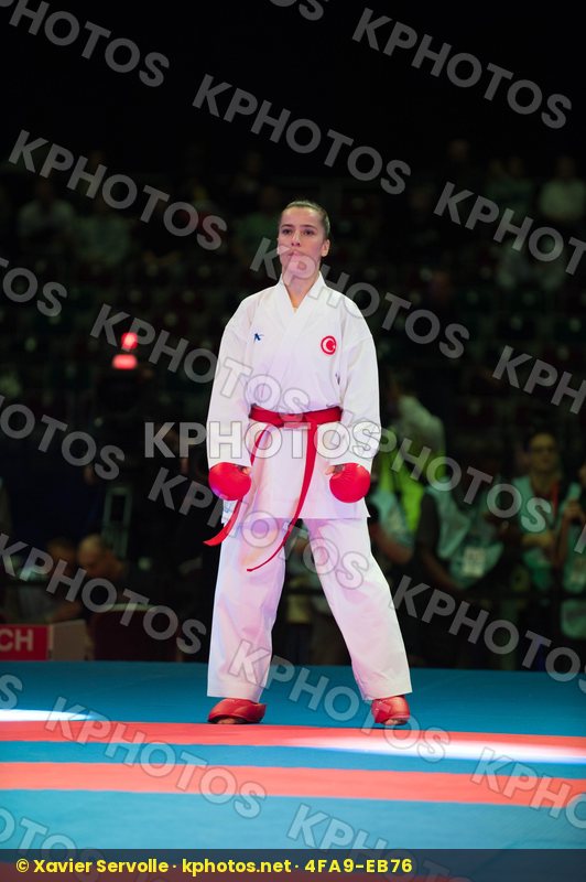 World Senior Championships Bremen 2014