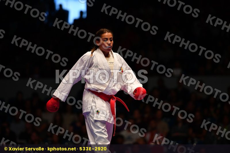 Karate 1 Premier League Hamburg 2016