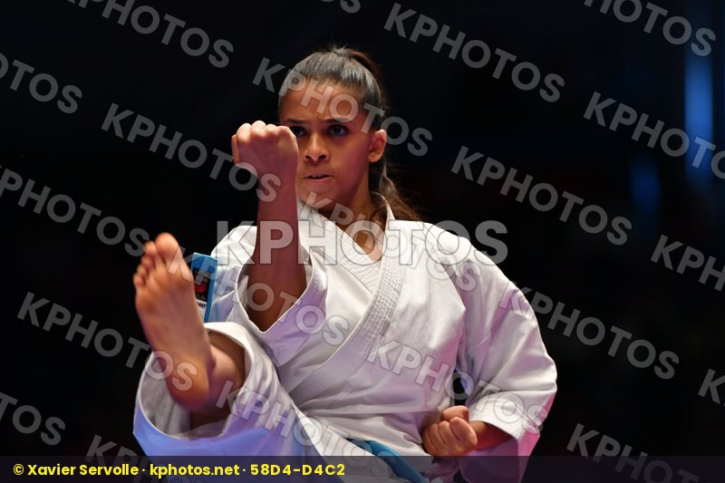 Karate 1 Premier League Hamburg 2016