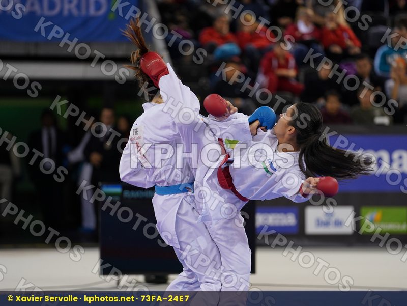 Karate 1 Premier League Madrid 2019