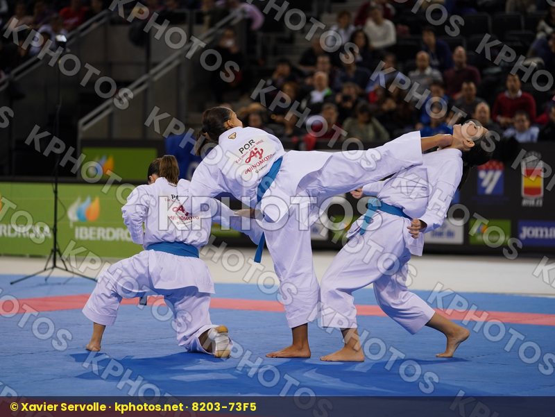 Karate 1 Premier League Madrid 2019