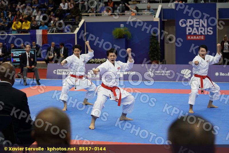 Karate 1 Premier League Paris 2018