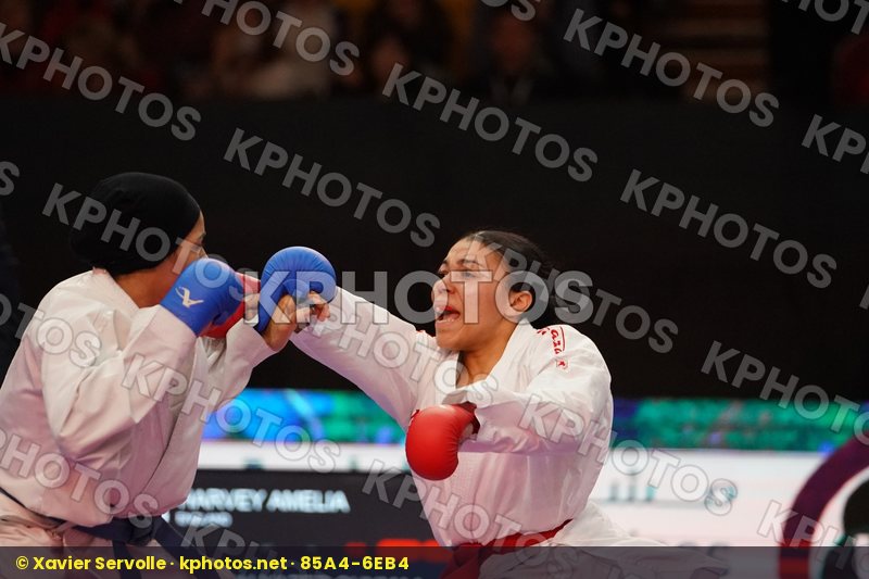 Karate 1 Premier League Dubai 2019