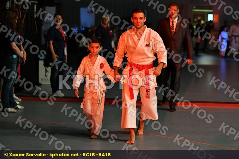 Karate 1 Premier League Hamburg 2016