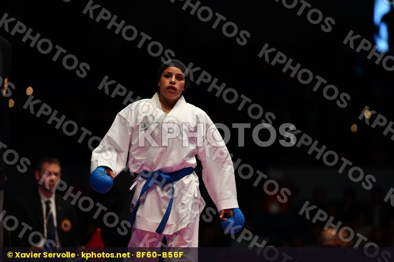 Karate 1 Premier League Hamburg 2016