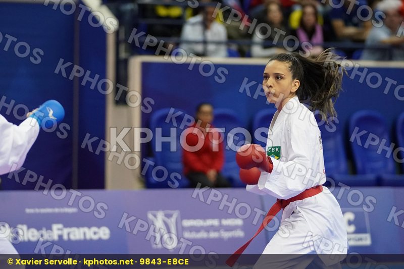 Karate 1 Premier League Paris 2019