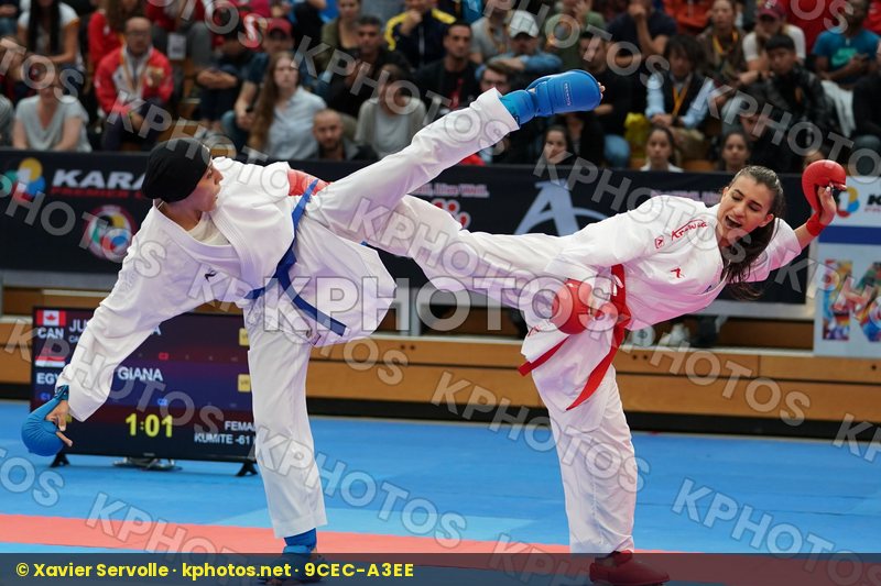 Karate 1 Premier League Berlin 2018