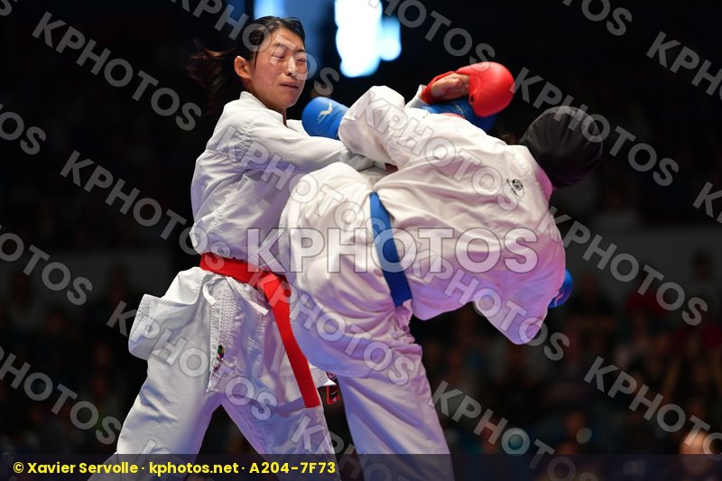 Karate 1 Premier League Hamburg 2016