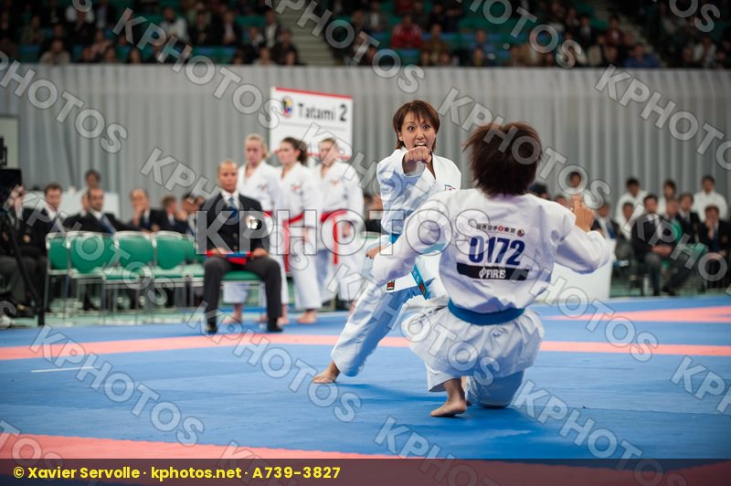 World Senior Championships Tokyo 2008