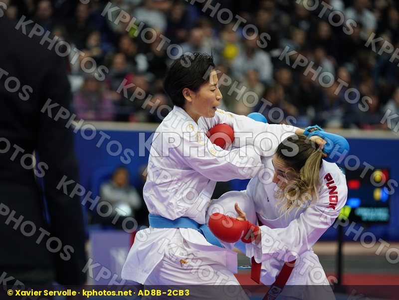 Karate 1 Premier League Paris 2020