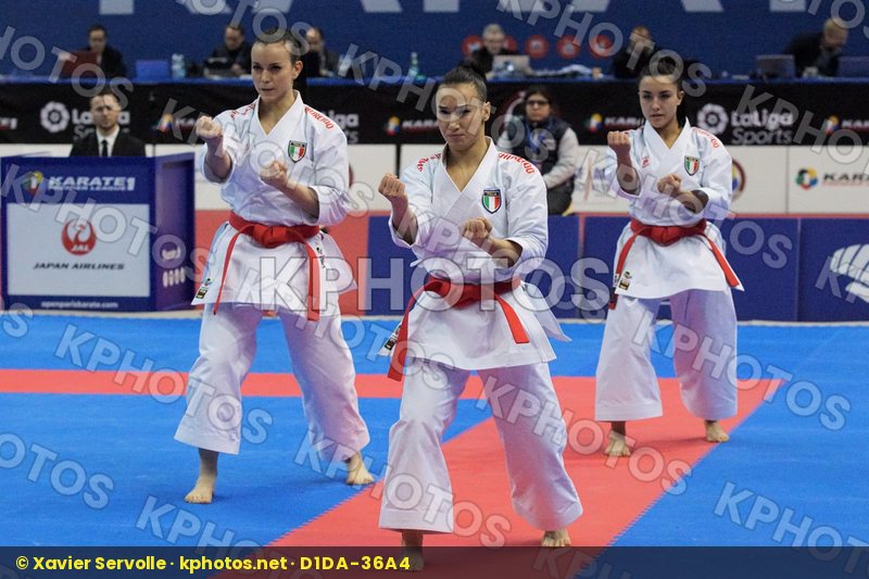 Karate 1 Premier League Paris 2020