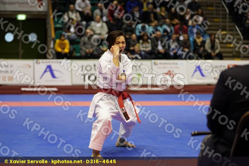 Karate 1 Premier League Rotterdam 2018