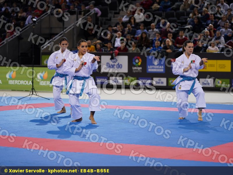 Karate 1 Premier League Madrid 2019