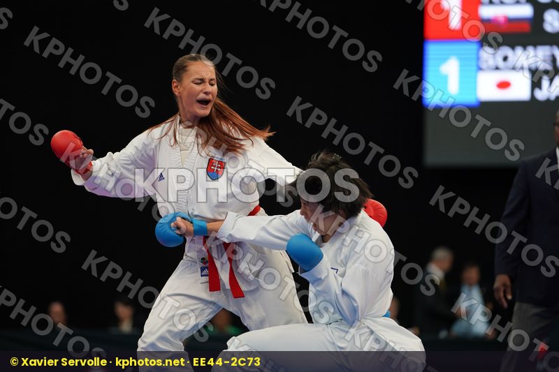 Karate 1 Premier League Halle 2017
